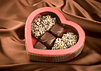 Valentine's Day Collection
