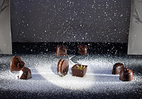 The Winter Collection 2011-2012 