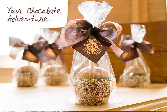 Chocolate Caramel Apples