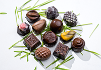 Spring Collection 2009