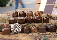 Winter 2008 Collection